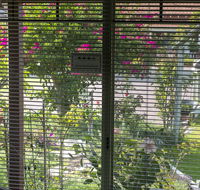 Busselton Marina Bed and Breakfast - Phillip Island Accommodation