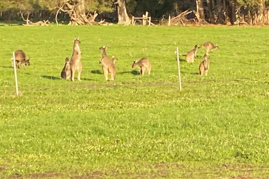 Carbunup River WA Phillip Island Accommodation