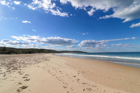 Catho Cottage - Phillip Island Accommodation 2