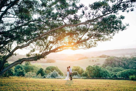 Cedia At Byron Bay Hinterland - Phillip Island Accommodation 1