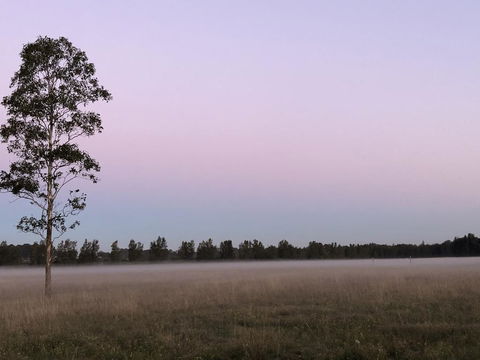 Charlotte Tiny House - Phillip Island Accommodation 0