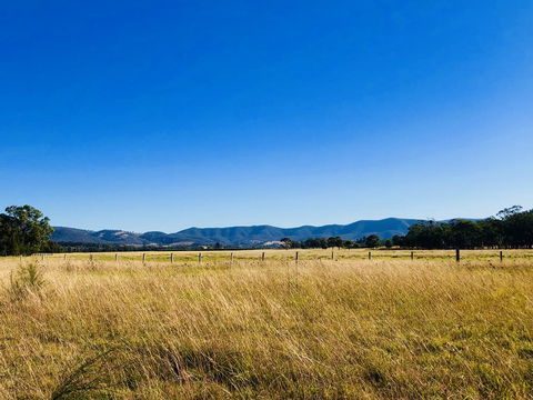 Charlotte Tiny House - Phillip Island Accommodation 2