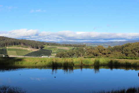 Cherryview Cygnet - Phillip Island Accommodation 1