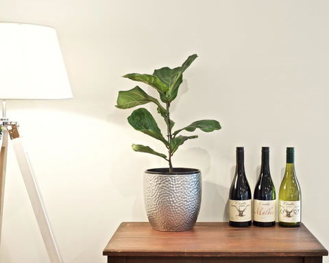 Cirillo Guest House - Phillip Island Accommodation 2