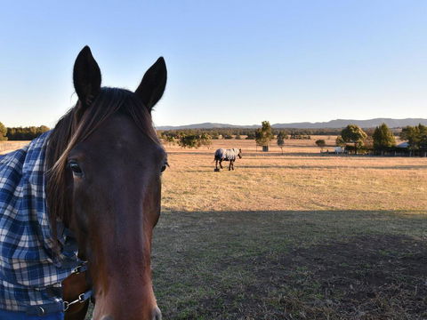 Clydesdale Cottage On Talga With Real Clydesdale Horses - Phillip Island Accommodation 0
