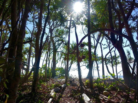 Coconut Beach House - Phillip Island Accommodation 2