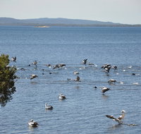 Denmark Waters BB - Phillip Island Accommodation