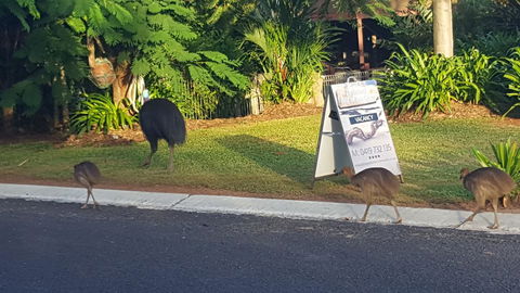 Driftwood Bed And Breakfast - Phillip Island Accommodation 1