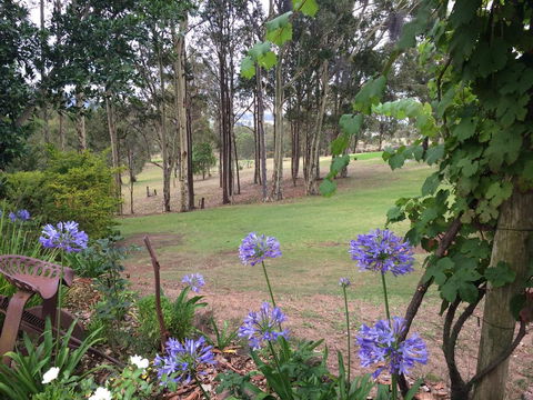 Elfin Hill Vineyard Accommodation - Phillip Island Accommodation 2