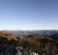 Elkhorn 7 - Phillip Island Accommodation