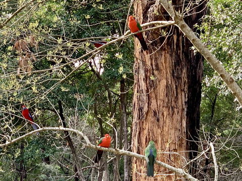 Emerald Star Cottages - Phillip Island Accommodation 1