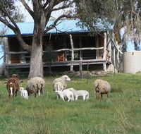 Gaddleen Grove Cottages - Phillip Island Accommodation