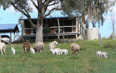 Gaddleen Grove Cottages - Phillip Island Accommodation 0