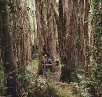 Habitat Noosa - Phillip Island Accommodation