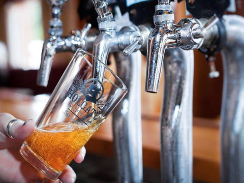 Holgate Brewhouse - Phillip Island Accommodation 0