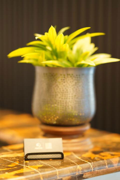Jephson Hotel & Apartments - Phillip Island Accommodation 3