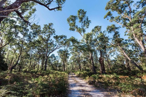 Jetty Views - Water Views On Raymond Island - Phillip Island Accommodation 1