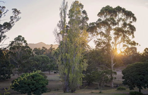 Karribank And The Karri On Bar - Phillip Island Accommodation 0