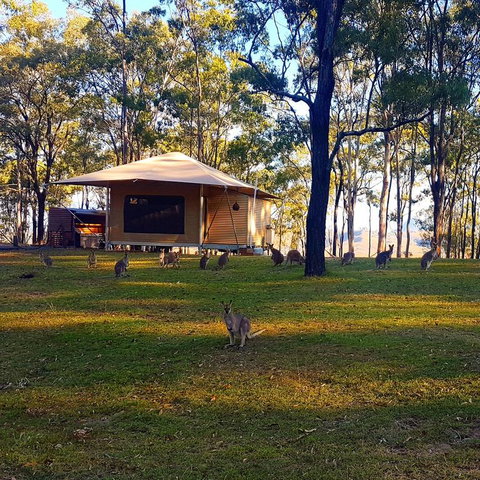 Ketchup's Bank Glamping - Phillip Island Accommodation 3