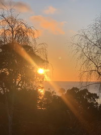 La Perouse Lorne