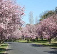 Leo's Rest Bathurst NSW - Phillip Island Accommodation