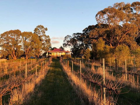 Lillicur Vineyard B&B - Phillip Island Accommodation 0