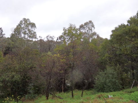 Mandall Avenue - Phillip Island Accommodation 2