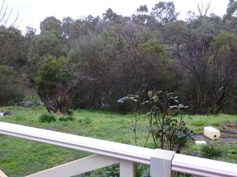 Mandall Avenue - Phillip Island Accommodation 1