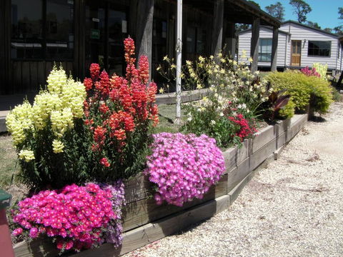 Mansfield Holiday Park - Phillip Island Accommodation 3