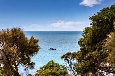Mills Beach Retreat Luxury Family Retreat With Hydrotherapy Spa, Opposite Beach, Walk To Village - Phillip Island Accommodation 2