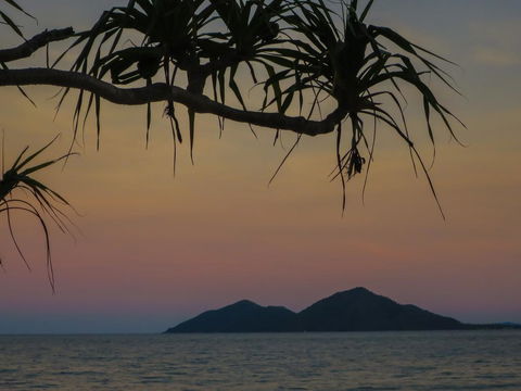 Mission Beach Hideaway Holiday Village - Phillip Island Accommodation 1