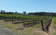 Molly Morgan Vineyard - thumb 3
