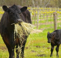 Naimanya Cottage - Phillip Island Accommodation