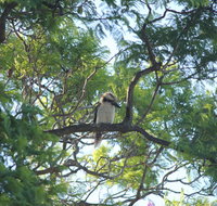 Jacaranda Hideaway Bed  Breakfast - Phillip Island Accommodation