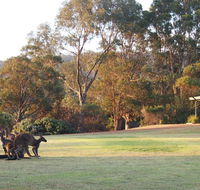 Riverside Retreat Chalets Walpole