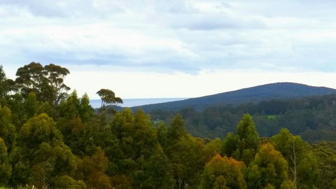 Karri Aura - Phillip Island Accommodation 10