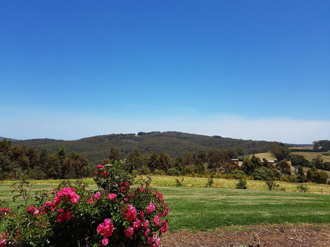 Karri Aura - Phillip Island Accommodation 9