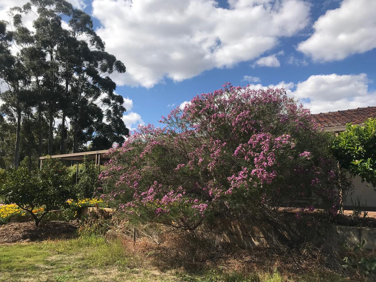  Phillip Island Accommodation