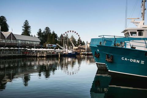 Oceanside 8 - Phillip Island Accommodation 22