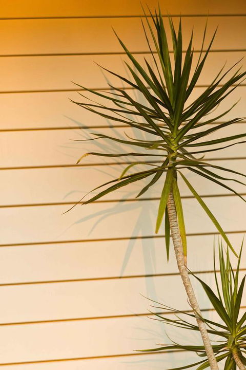 The Billi Resort - Phillip Island Accommodation 44