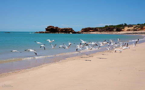 Apartments At Blue Seas Resort - Phillip Island Accommodation 25