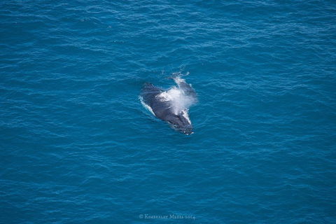 Apartments At Blue Seas Resort - Phillip Island Accommodation 26