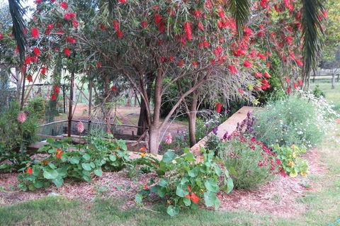 Bentwood Olive Grove Accommodation - Phillip Island Accommodation 21