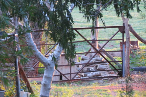 Bentwood Olive Grove Accommodation - Phillip Island Accommodation 25