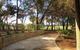 Bentwood Olive Grove Accommodation - thumb 2