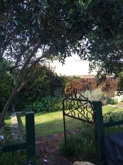 RoseMoore Bed & Breakfast - Phillip Island Accommodation 1