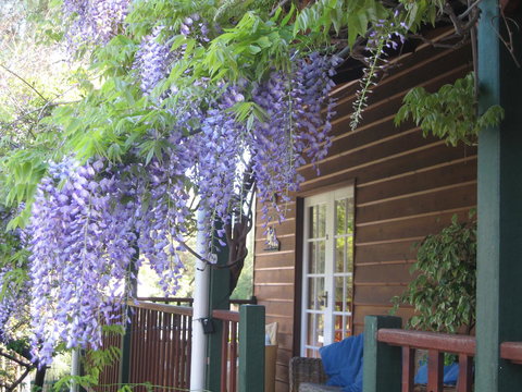 RoseMoore Bed & Breakfast - Phillip Island Accommodation 11