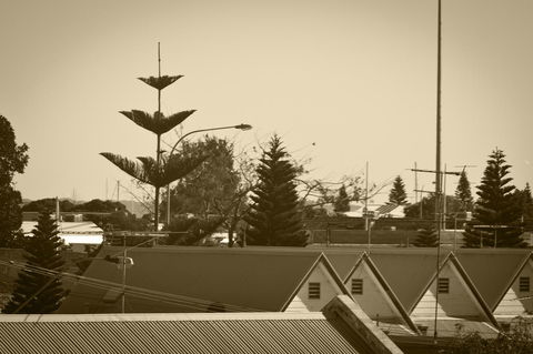 Annie's Victorian Terrace Accommodation Fremantle - Phillip Island Accommodation 2