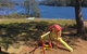 Tullah Lakeside Lodge - thumb 15