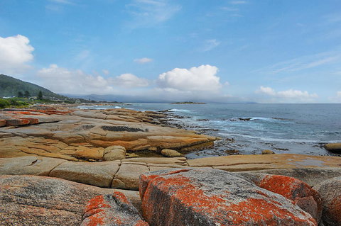 Harvey Farm Lodge - Phillip Island Accommodation 2